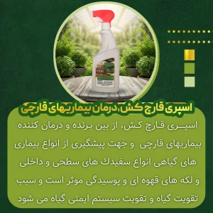 اسپری قارچ کش، درمان بیماری‌های قارچی